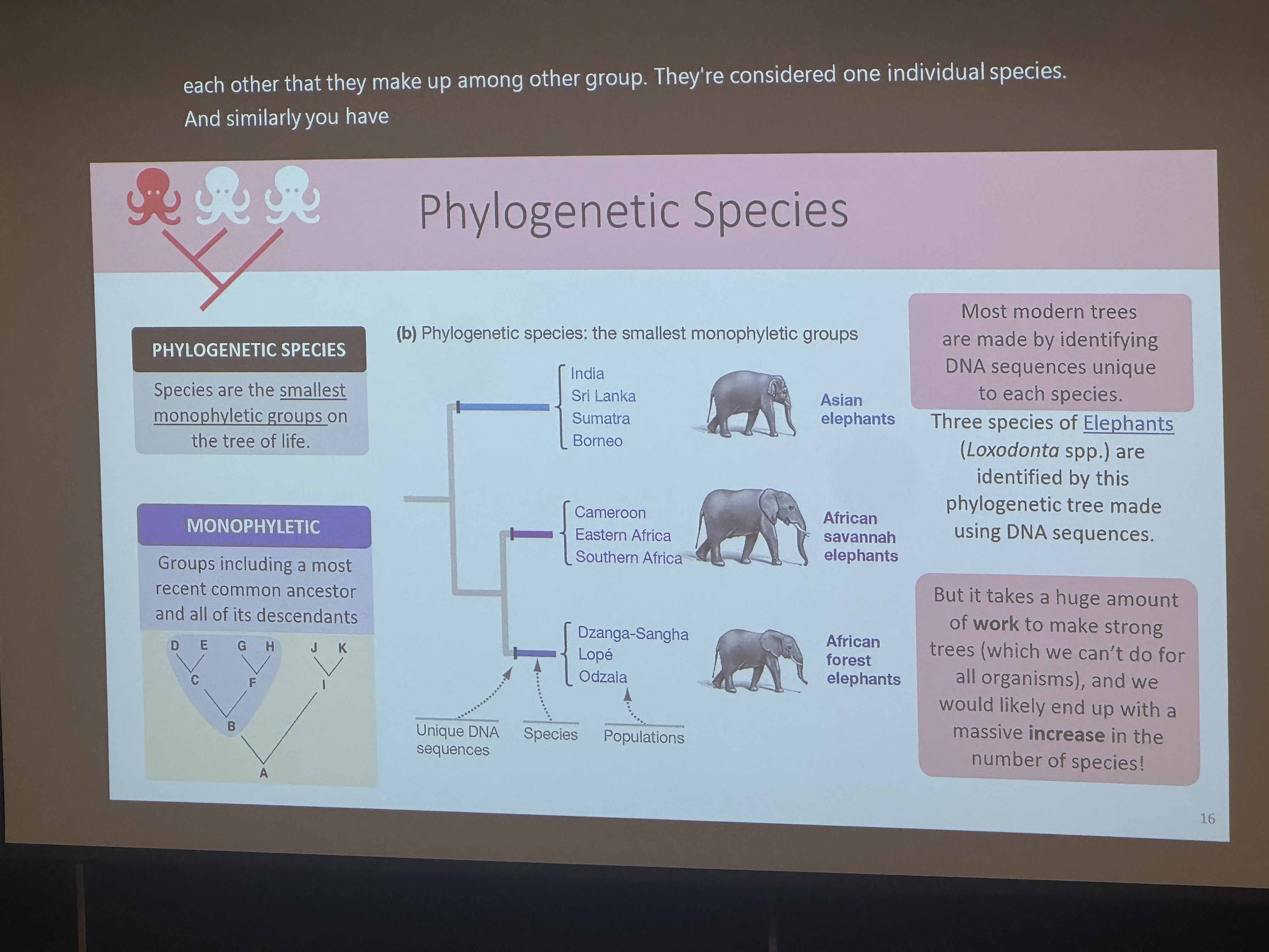 <p>species are the smallest monophyletic groups on the tree of life.</p><p>monophyletic; groups including a most recent common ancestor and all of its descendants.</p><p>problem; takes time / energy to make trees → not practical; massively increase implications that species are lumped together</p>