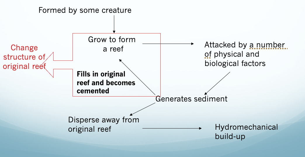 <p>A reef comprised principally of CaCO3</p>