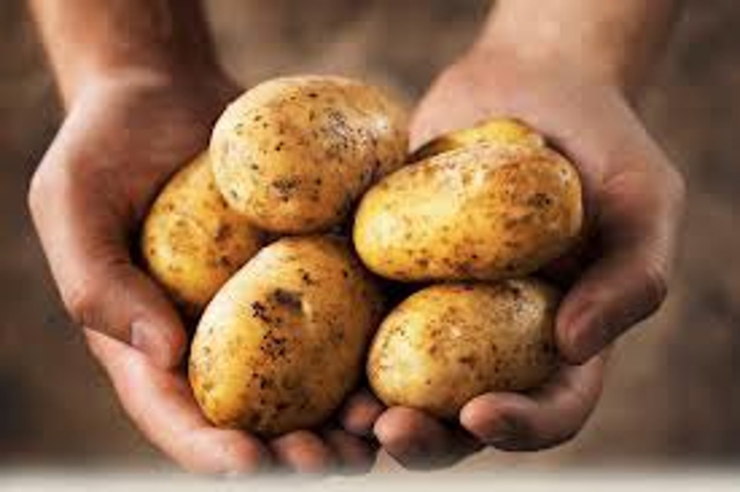 <p>potatoes</p>