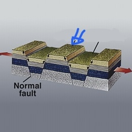 <p>Comment appelle-t-on un bloc de terrain surélevé entre deux failles tectoniques ?</p>