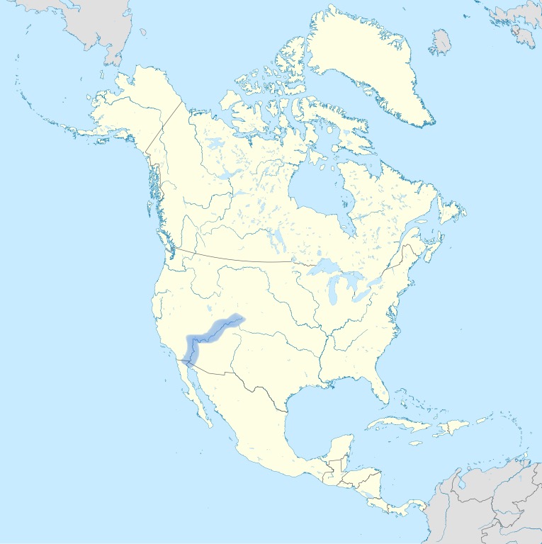 <p></p>