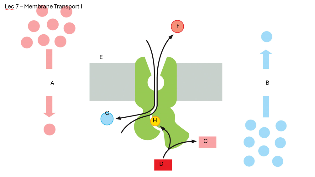 <p>What is G?</p>