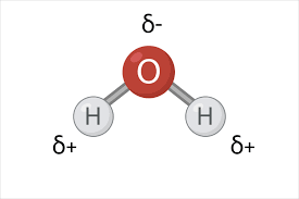 <p>when one part of the molecule has a slightly negative charge and another part has a&nbsp;slightly positive charge</p><ul><li><p>don’t share their electrons evenly</p></li></ul><p></p>