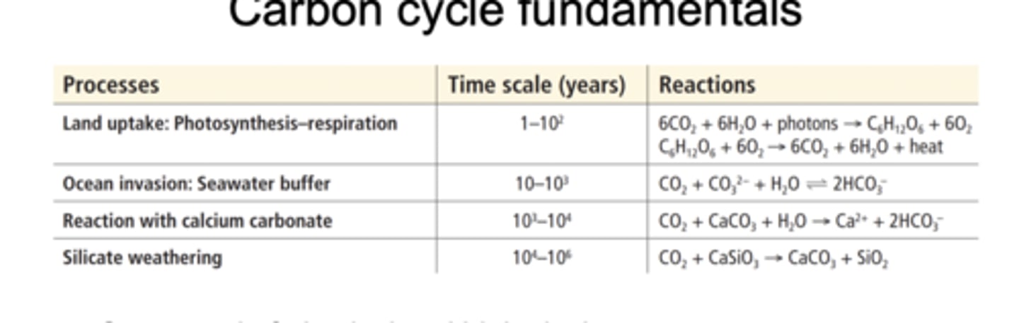 <p>The carbon cycle consists of both biological and physical process that move carbon through the atmosphere, land, oceans, and Earth's crust over timescales ranging from years to millions of years.</p><p>Biological processes like land uptake (photosynthesis and respiration) are fast, ranging from years to decades</p><p>Physical and chemical processes like ocean CO2 invasion, reaction with calcium carbonate, and silicate weathering are slow, ranging from centuries to millions of years</p>