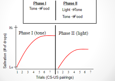 <p>second-order conditioning</p>