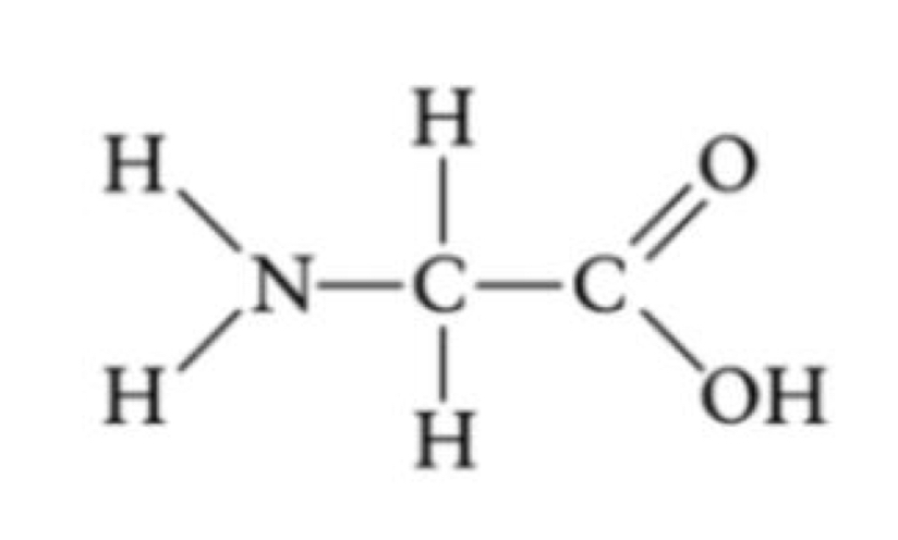 <p>Shows bonding pattern</p>