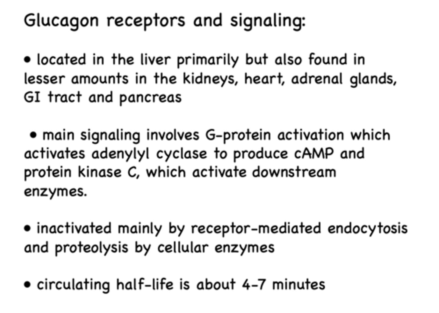 <p>Main signaling of glucagon involves G-protein activation which activates adenylyl cyclase to produce cAMP and protein kinase C, which activate downstream enzymes</p>