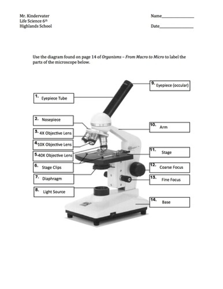 knowt flashcard image