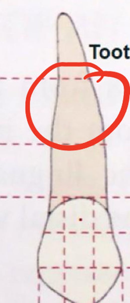 knowt flashcard image