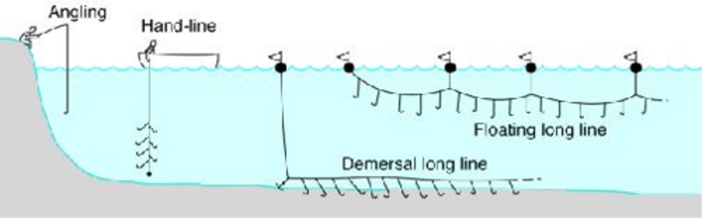<p>Hook-and-line, longline fishing, gill net fishing, trawl nets, and purse seine.</p>