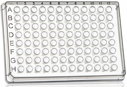<p><span>Plate cells onto 96-well plates, leave to adhere</span></p><p style="text-align: left"><span>&nbsp; - treat the next day</span></p><p style="text-align: left"><span>Add drug to culture medium (several doses) and incubate for desired time</span></p><p style="text-align: left"><span>Add MTT or other reagent</span></p><p style="text-align: left"><span>Analyze the effect on cells</span></p><p style="text-align: left"><span>Repeat 3-5 times à statistical analysisPlate cells onto 96-well </span></p>