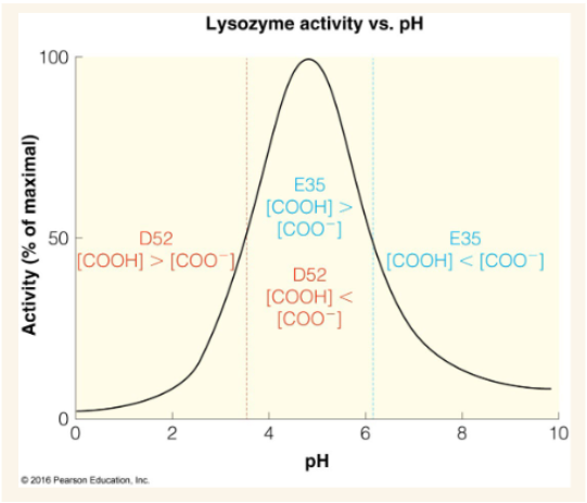 <p>a pH around ~4-6. E35 must be protonated while D52 needs to be deprotonated</p>