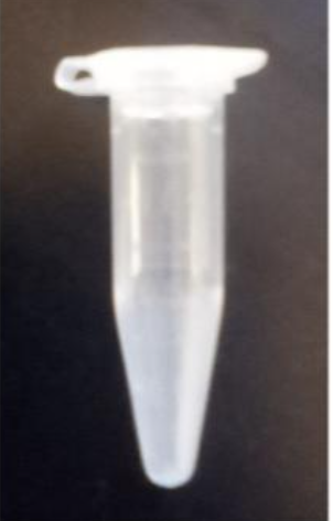 <p>microcentrifuge tube</p>