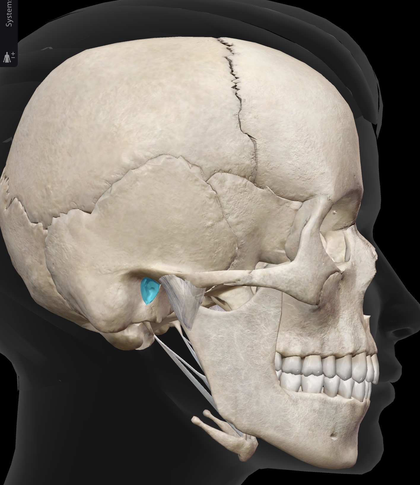 <p>What is this and what is its function?</p>