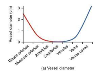 <p>capillaries have the lowest, arteries and venae cavae are the highest</p>