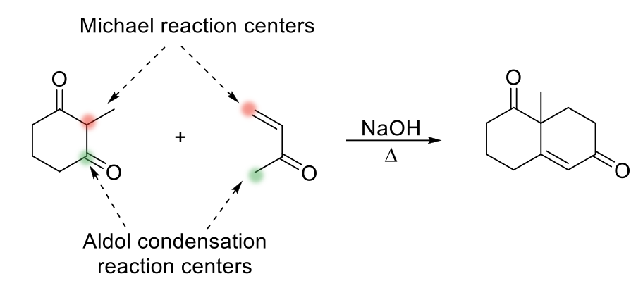 <p>Robinson Annulation Reaction</p>