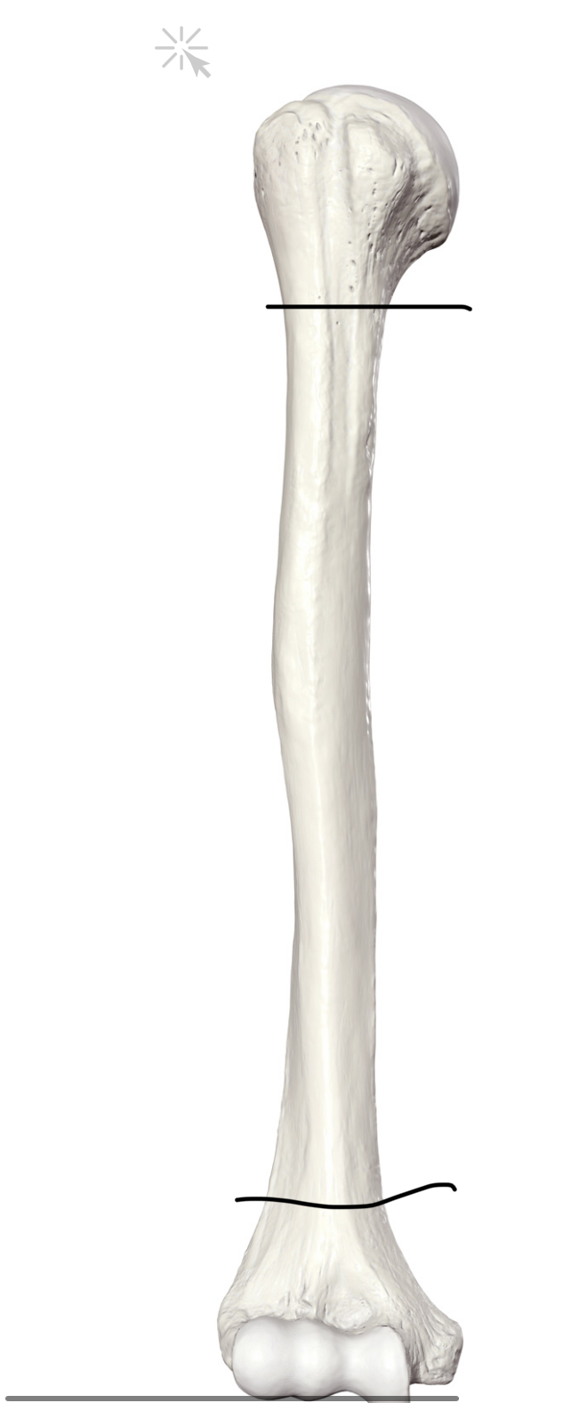 <p>Hoe heet dit deel?</p>