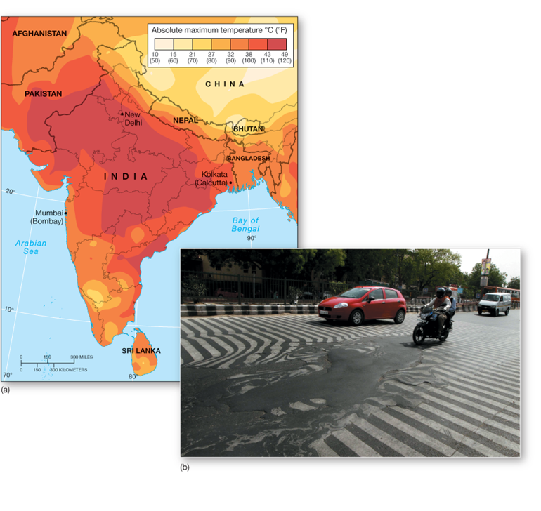 <p>Net Radiation: Sensible heat</p>