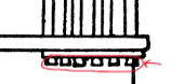 <p>small drop-like projections below the tenia</p>