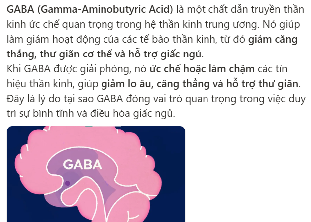 <p>a neurotransmitter that calms brain activity</p>