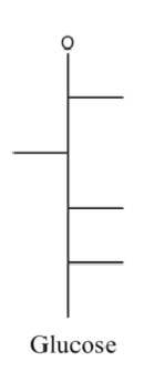 <p>hex- aldose</p><p>R, L, R, R</p>