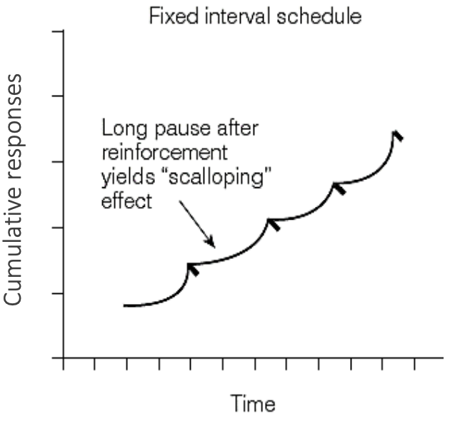 Responses to FI Schedules