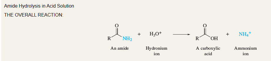 <p>Formation of (+) tetrahedral intermediate and then disassociation of NH3</p>