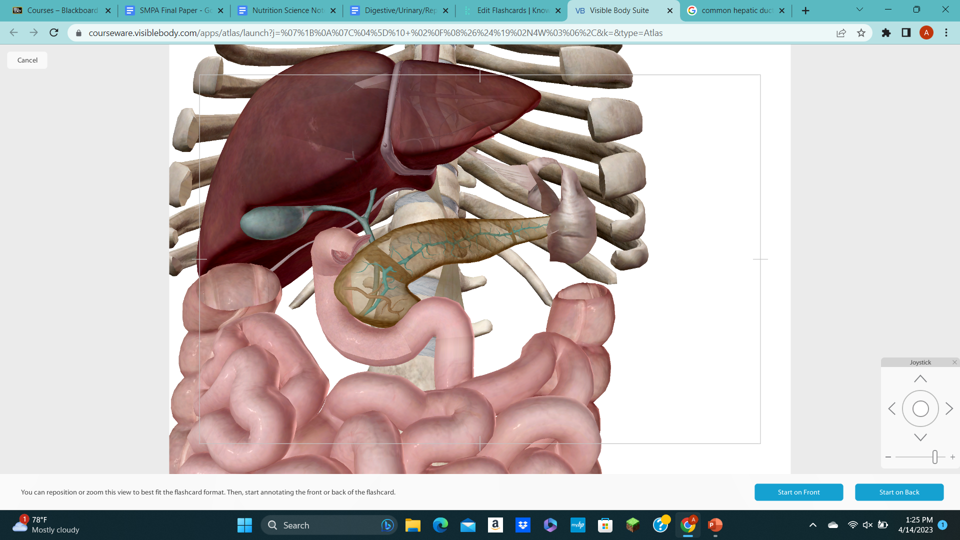 knowt flashcard image