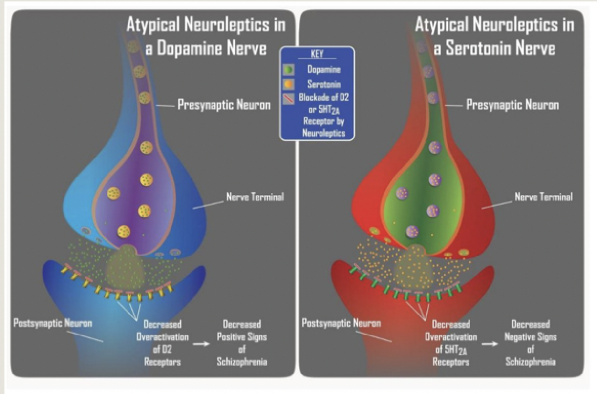 <p>Blocks receptor cells to reduce both serotonin and dopamine</p>