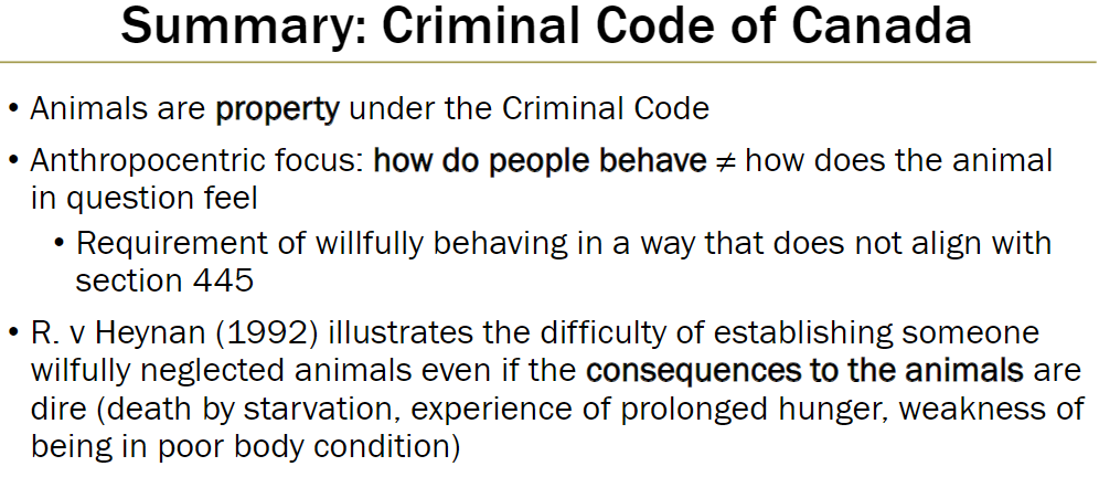 <p><strong>Anthropocentric Focus</strong><br> Law considers human behaviour, not the animal’s experience</p><p><strong>Wilfulness Requirement</strong><br> Offence requires wilfully acting contrary to section 445</p><p><strong>Case Example: R. v Heynan (1992)</strong><br> Illustrates difficulty of proving wilful neglect<br> Even when animals suffered severe consequences – death by starvation, prolonged hunger, poor body condition</p><p><strong>Summary</strong><br> Criminal Code treats animals as property, focuses on human intent rather than animal suffering</p>