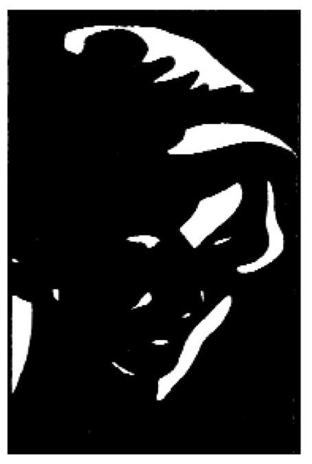 <p>stimuli with so little information that it may be difficult or impossible to interpret them without additional knowledge</p><p>used to explore role of top-down information flow when resolving ambiguity → interpretation correlated with activity in secondary visual cortex</p><p>once the “blobs” have been identified as a face, the image remains “organized” in subsequent presentations</p>