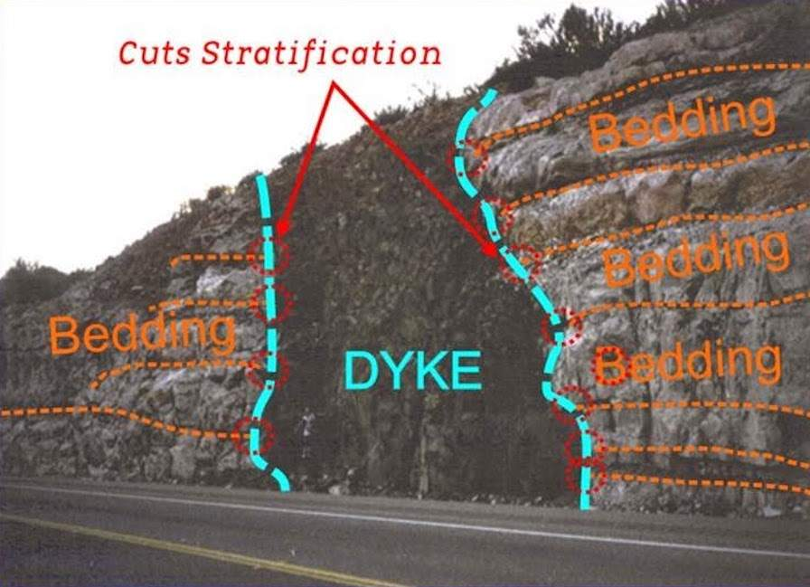 <p>a vertical shaft of rock that intrudes through a pre-existing weakness </p><ul><li><p>rock is younger than that of which it intruded</p></li></ul><p></p>