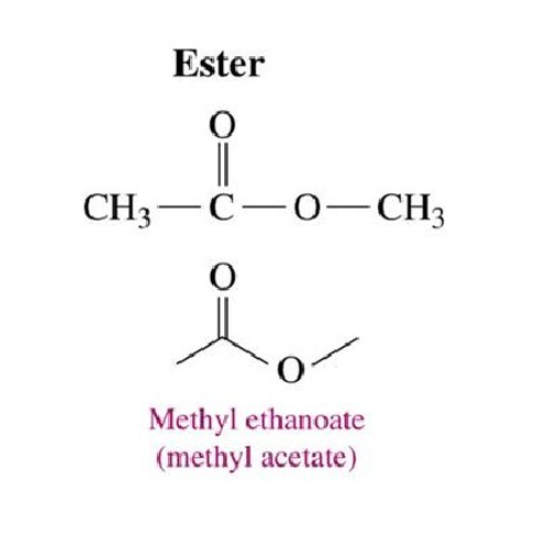 <p>carbonyl attached to R and -OR</p><ul><li><p>RCOOR</p></li></ul>