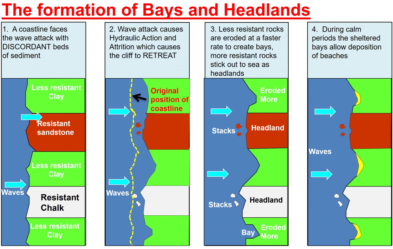 <p>In areas where the geology or rock type runs at right angles to the coastline, bays and headlands can be created. If there are alternating bands of harder and softer rock running at right angles to the sea, the sea will erode these bands at different rates (called differential erosion). Hydraulic action, abrasion and corrosion are more effective at eroding the softer rock, particularly during storms, and this will erode further inland than the harder rock. During calmer weather and no stormy periods, the hard rock will absorb a lot of the wave energy and refract or bend the waves into the area with the softer rock, allowing sediment to be deposited and accumulate as beaches. The net result of this over long periods of time is that the hard rock is left jutting out to sea as a headland, and the softer rock is eroded into curved sand filled bays.</p>