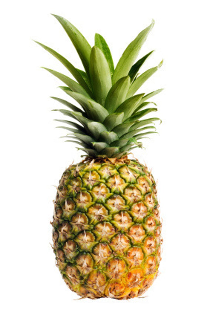 <p>Plants also produce toxic secondary compounds (phytochemicals) in seeds and leaves (eg stinging nettles, nightshade, cactus), thorns (pineapples), mimicry</p>