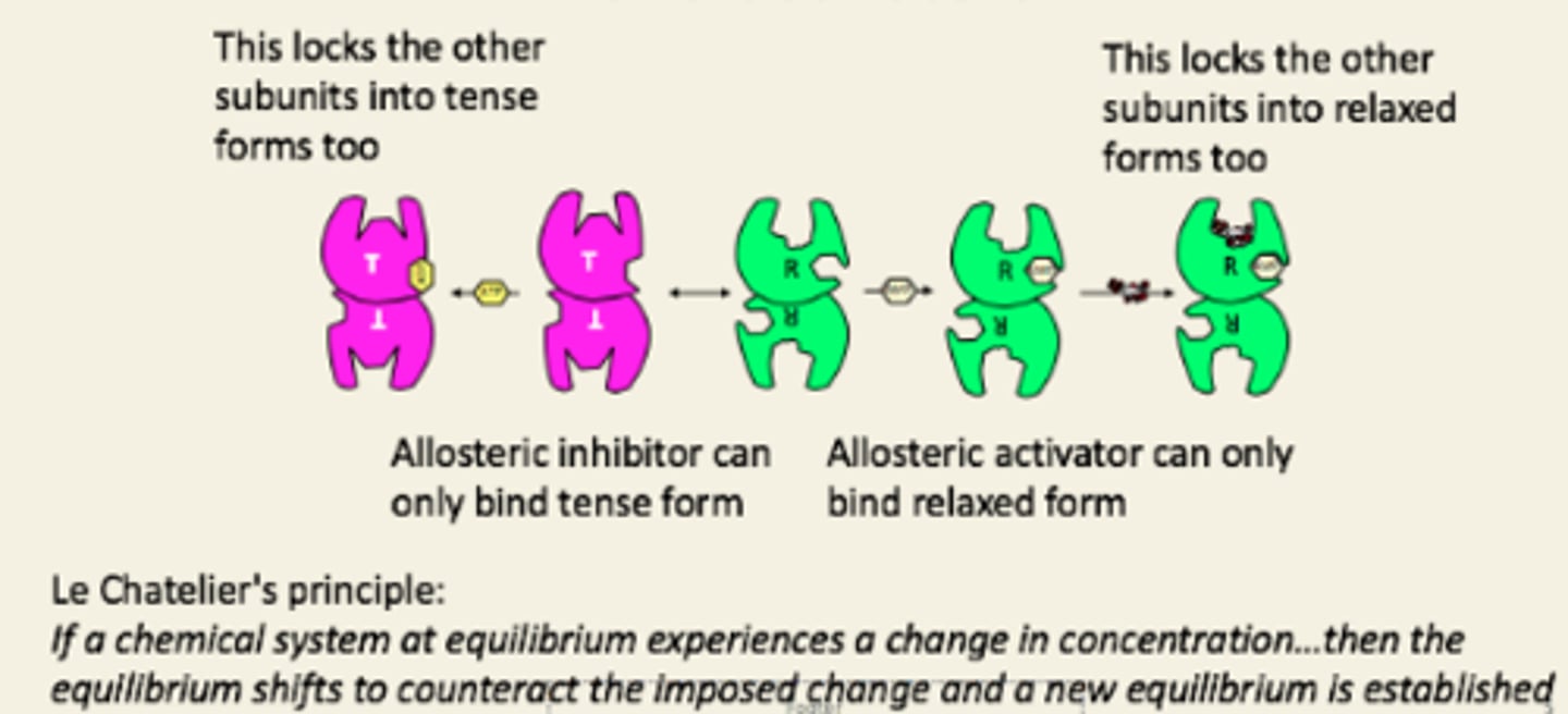 <p>If the concentration of the AMP-bound relaxed form [R-AMP] increases, then then the equilibrium will favour conversion of enzymes in the T form to the R form. Therefore [T] falls, and [R] increases. This is an application of Le Chatelier’s principle.</p>