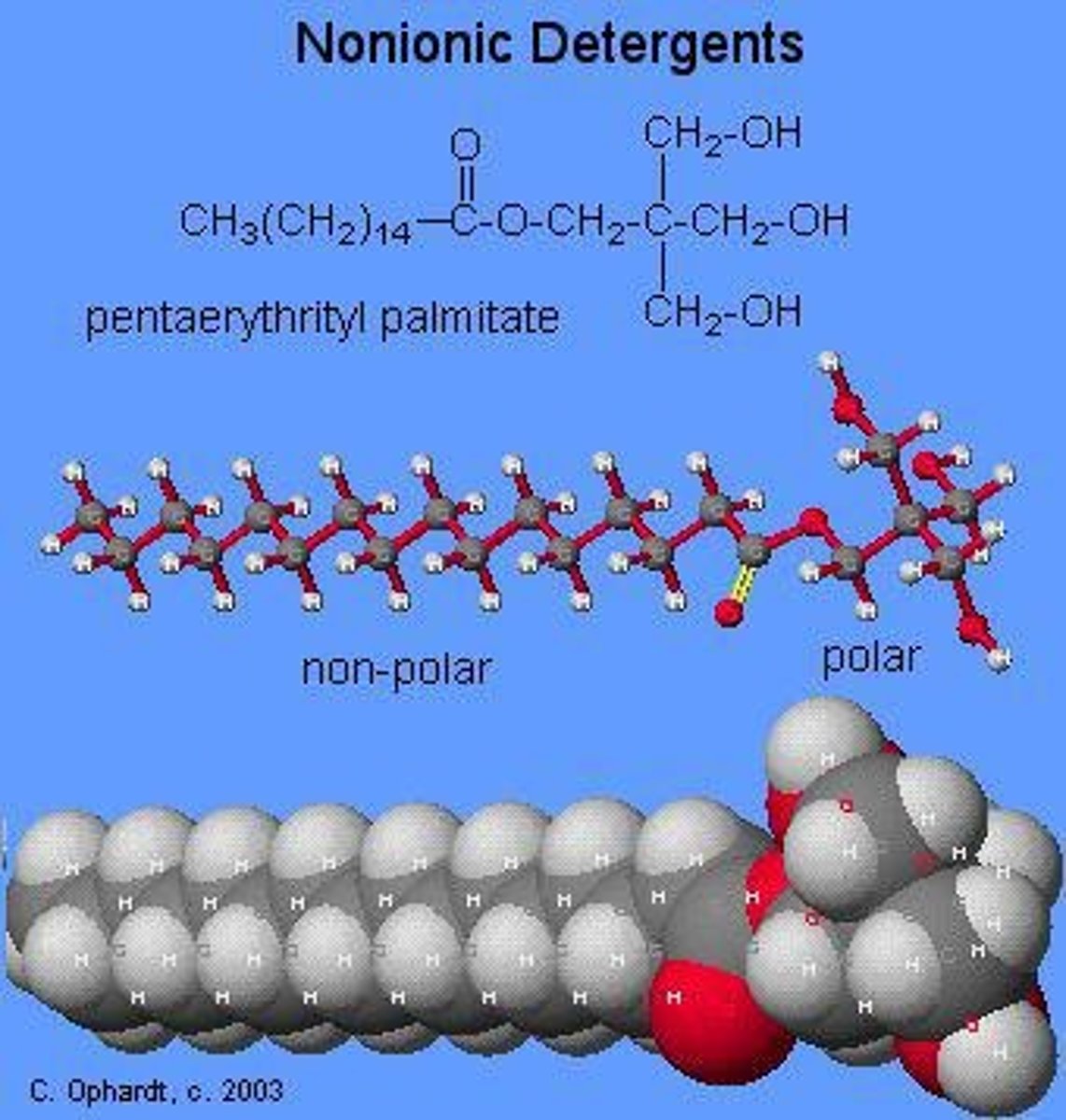 <p>Detergent is amphipathic, meaning it has both polar and nonpolar properties.</p>