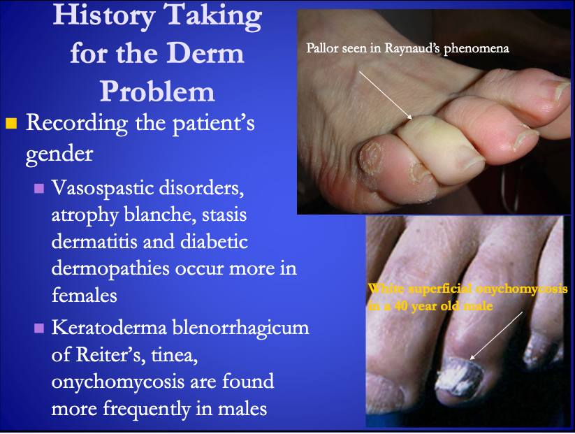<p><span>Following occurs more in <strong>[what gender?]</strong>:</span></p><ul><li><p>Vasospastic disorders</p></li><li><p>atrophy blanche</p></li><li><p>stasis dermatitis&nbsp;</p></li><li><p>diabetic dermopathies&nbsp;</p></li></ul><p></p>