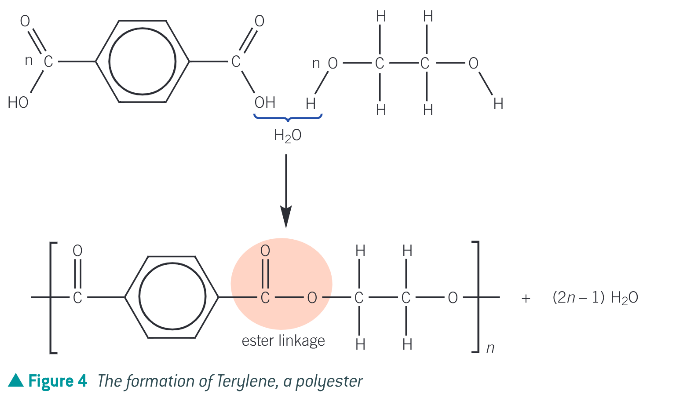 <p>During the condensation reaction a hydroxyl group on the diol reacts with a carboxyl group on the dicarboxylic acid forming an ester linkage and water.  </p>