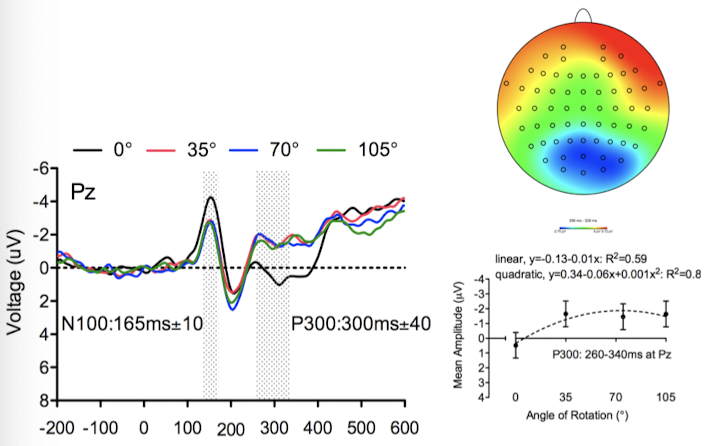 <ul><li><p>Measures <strong>electrical activity of the brain</strong></p></li><li><p>Post-synaptic activity of 1000s or more neurons</p></li><li><p>Event-related brain potentials (ERP)</p></li><li><p>Excellent temporal resolution BUT “inverse problem”</p></li><li><p><strong>Fast measurement technique </strong>→ measures electro-activity in milliseconds</p></li><li><p>Doesn’t allow you to localize brain area → <strong>very poor spatial resolution</strong></p></li><li><p>Measure technique time locked to <strong>sensory</strong>, cognitive, or motor event.</p></li><li><p>Hundreds of trials</p></li><li><p>Going above 0 voltage → increase; going below 0 voltage → decrease</p></li></ul>