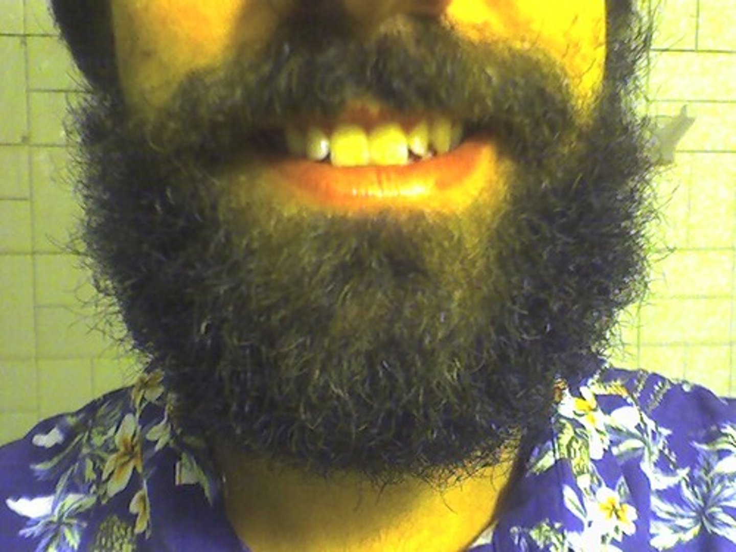<p>la barba</p>
