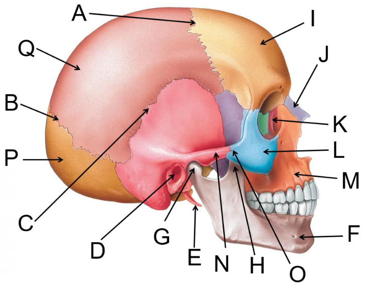 <p>What is H?</p>