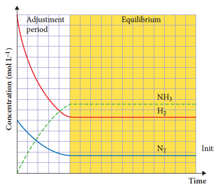 <p>it results in a fast initial rate of forward reaction that gradually slows as reactants form products. the rate of the forward reaction slows and the rate of the reverse reaction increases as concentrations change.</p><p></p>