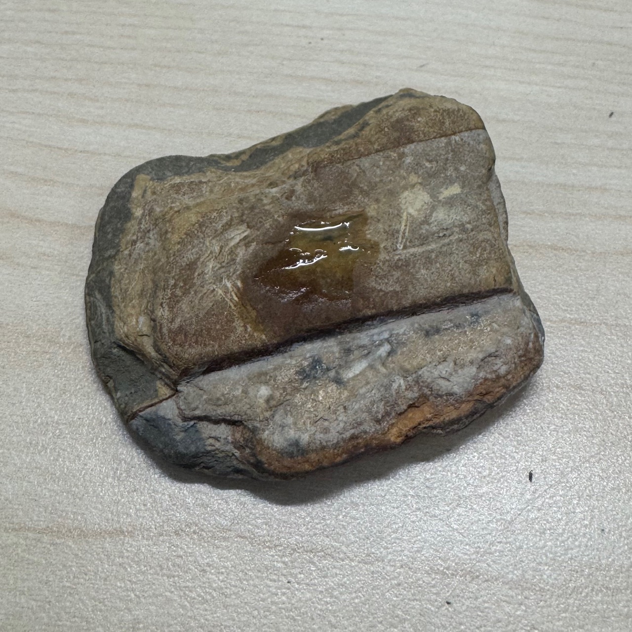 <p>Shale</p>