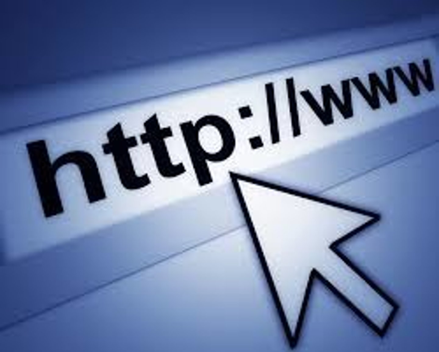 <p>the website</p>