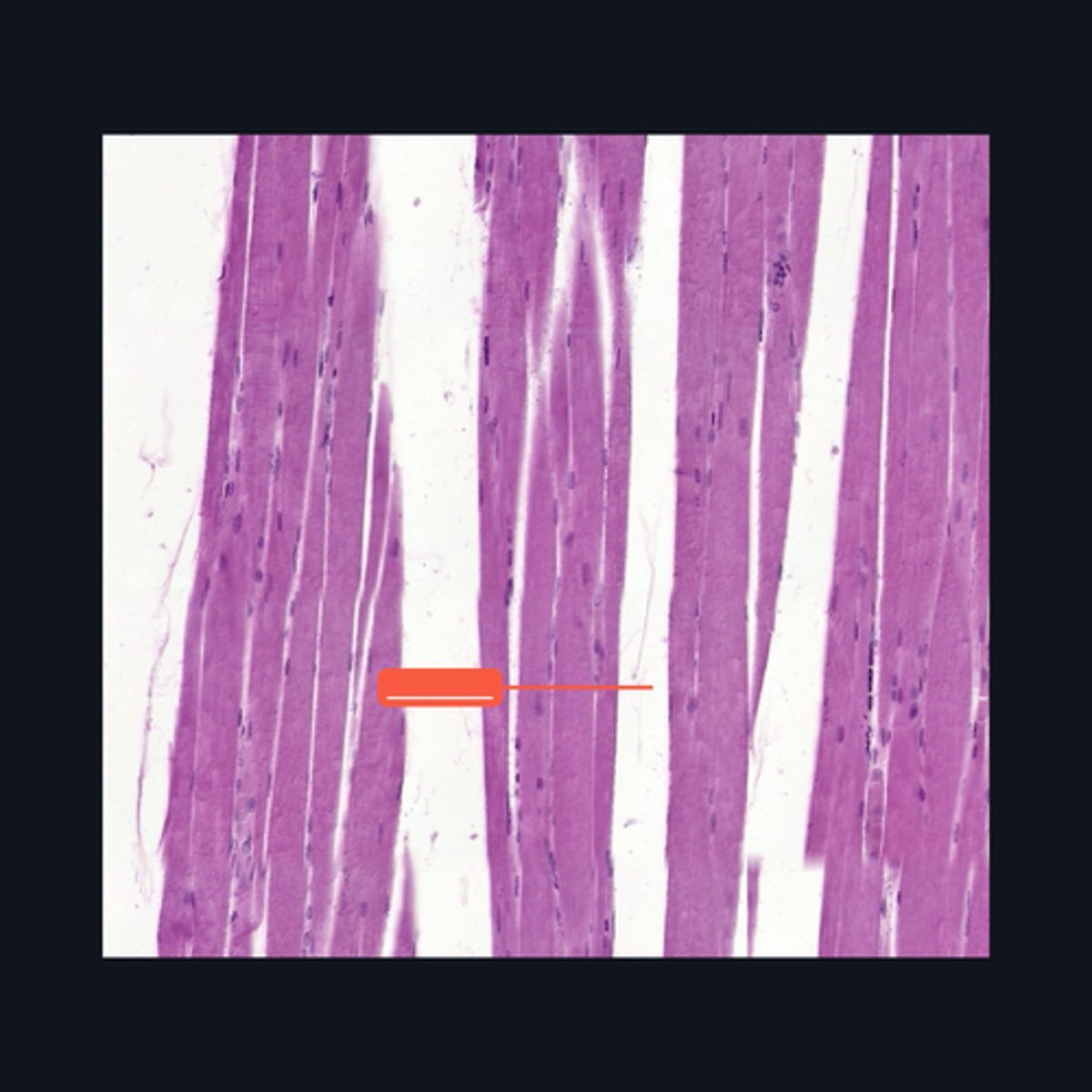<p>Identify the structure</p>