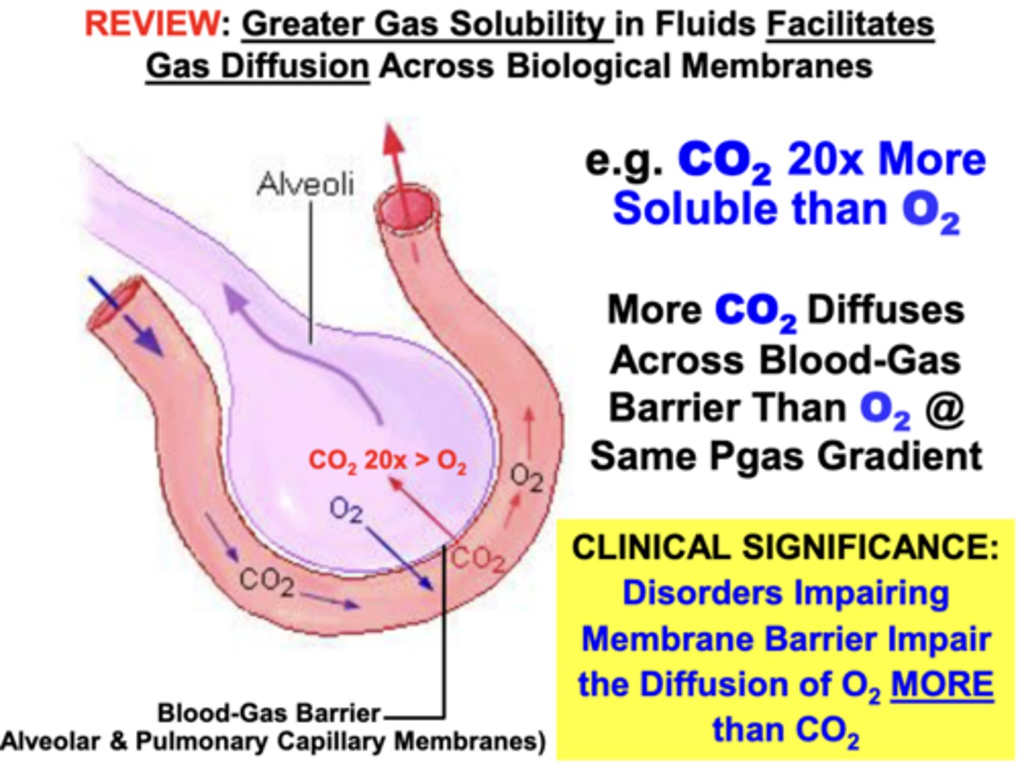 <p>ability of gases to diffuse across membrane barriers</p><p>- higher solubility gases diffuse more easily across membrane barriers than lower solubility gases</p>