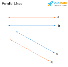 Two lines that never intersect. //