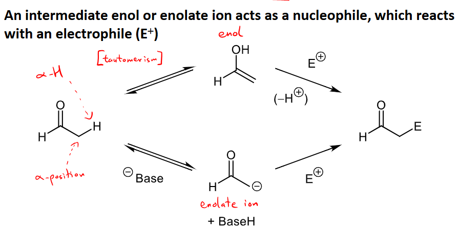 <ol><li><p>The molecule tautomerizes and becomes and enol, and is then attacked by ana electrophile and loses a proton. </p></li><li><p>A negative charged base is added, taking off a proton to form an enolate ion, then it is attacked by an electrophile. </p></li></ol><p></p>