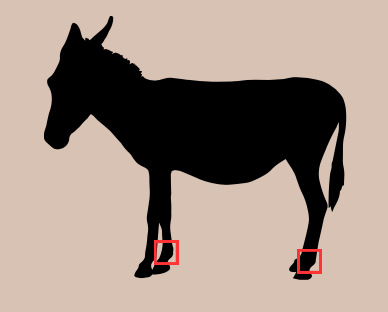 <p>joint located between the cannon and the pastern joint</p><p>most used in hoofed animals</p>